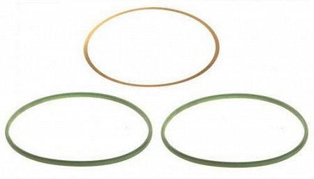 Уплотнительные кольца (прокладки гильзы)MB OM541 (722480) (д5023)