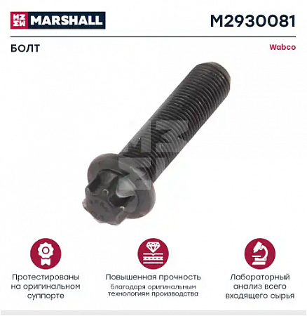 Болт  крышки суппорта М10х40мм WABCO MAXX 17/PAN 17/PAN 19-1/PAN 19-2/PAN 22-1 (M2930081)(Т0191)