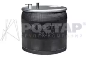 Пневморессора (состаканом) DONGFENG GX2918020H04B2 (R836L2DFS)(пр4361)